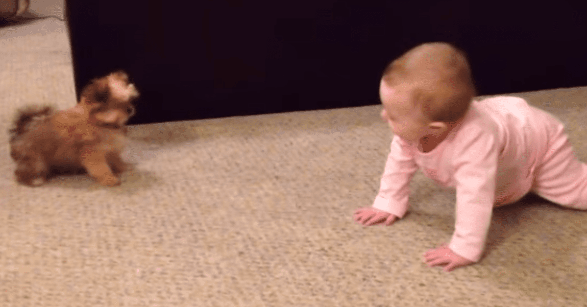 Baby and Puppy