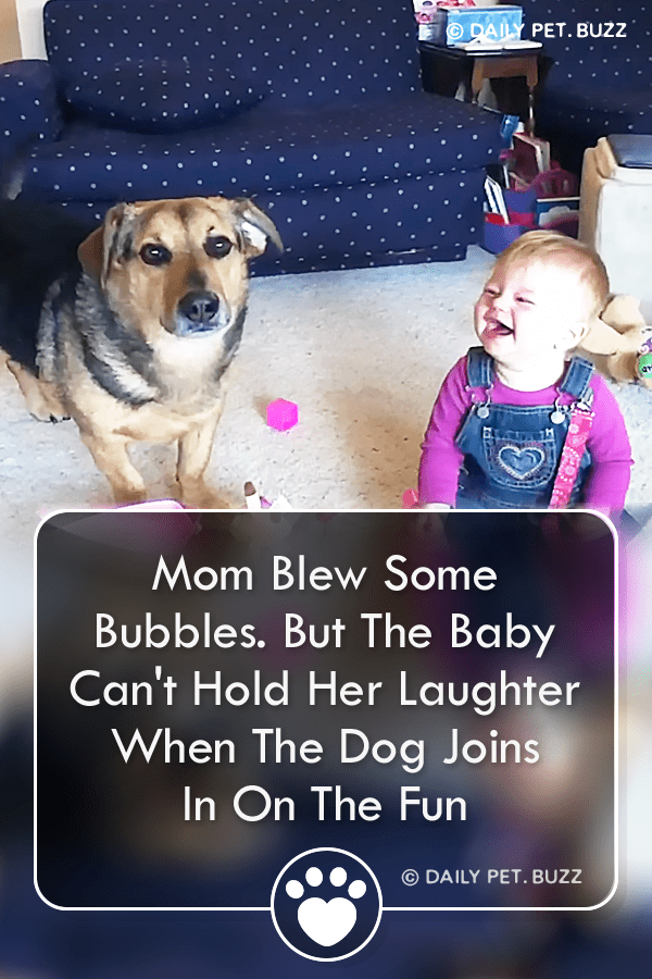 Mom Blew Some Bubbles. But The Baby Can\'t Hold Her Laughter When The Dog Joins In On The Fun