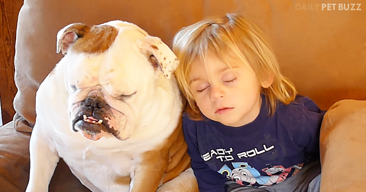 Ryder And His Bulldog Rosco Are Not Going Down For A Nap Without A Fight