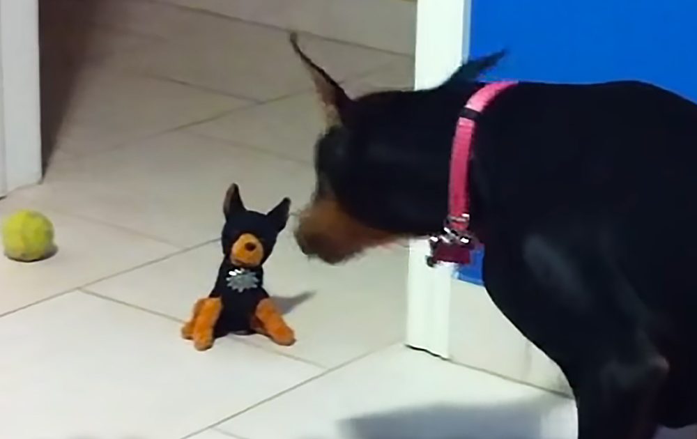 Pinterest Hidden Image