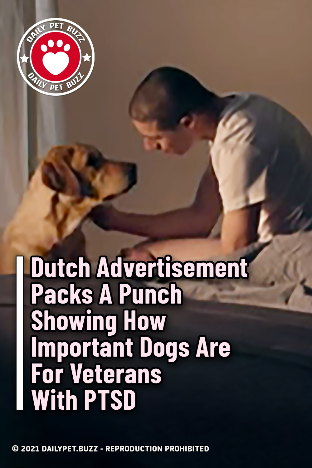 Dutch Advertisement Packs A Punch Showing How Important Dogs Are For Veterans With PTSD