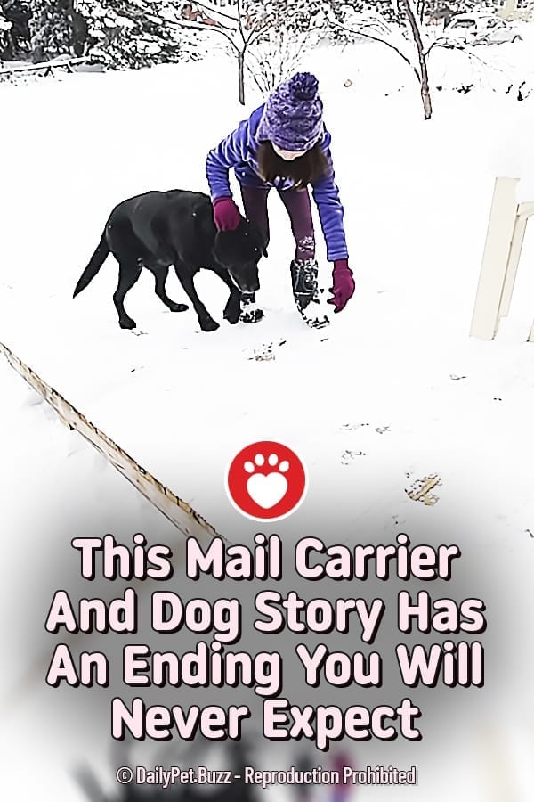 This Mail Carrier And Dog Story Has An Ending You Will Never Expect
