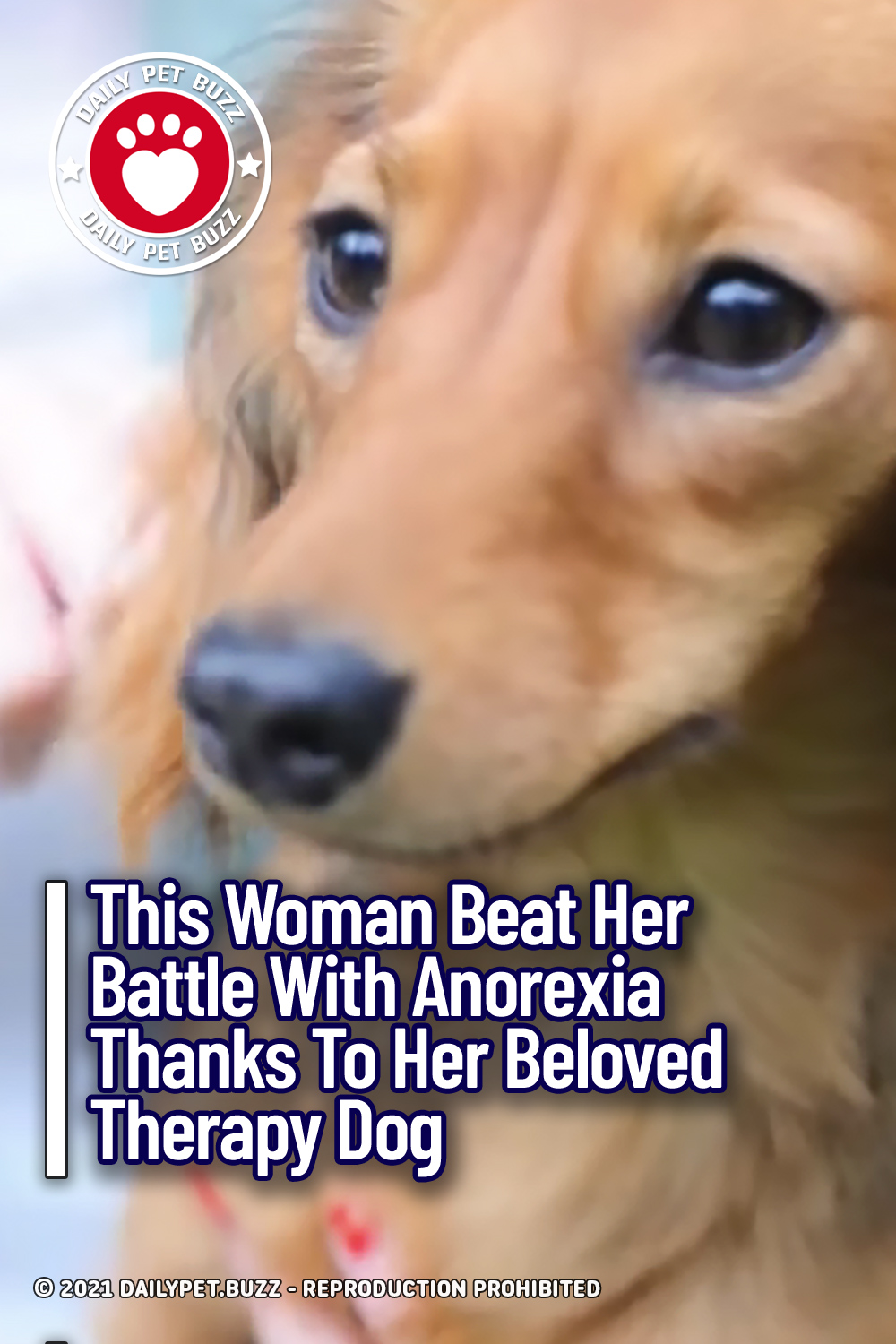 This Woman Beat Her Battle With Anorexia Thanks To Her Beloved Therapy Dog