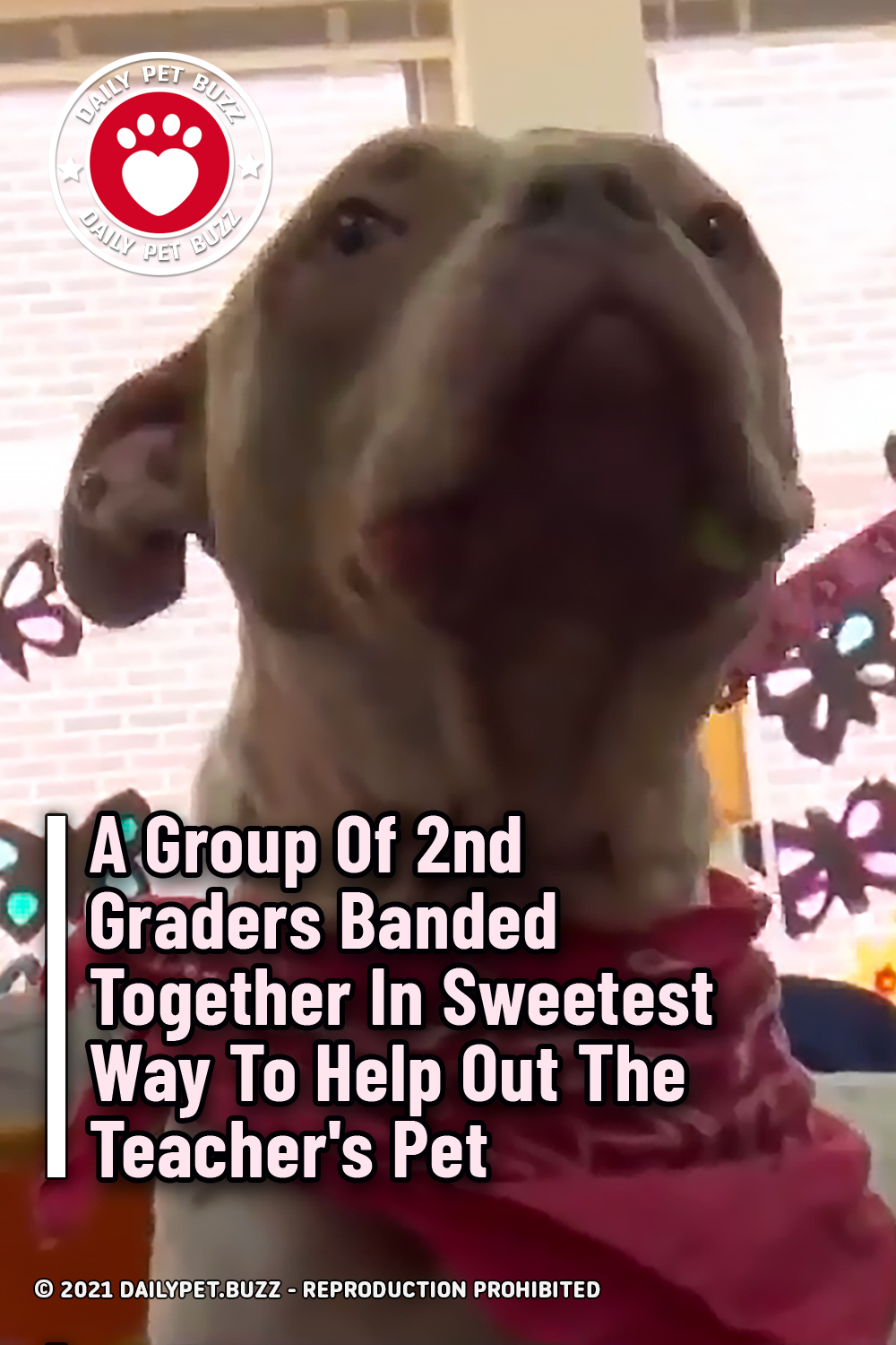 A Group Of 2nd Graders Banded Together In Sweetest Way To Help Out The Teacher\'s Pet