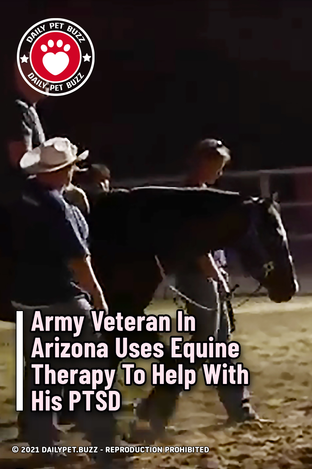 Army Veteran In Arizona Uses Equine Therapy To Help With His PTSD