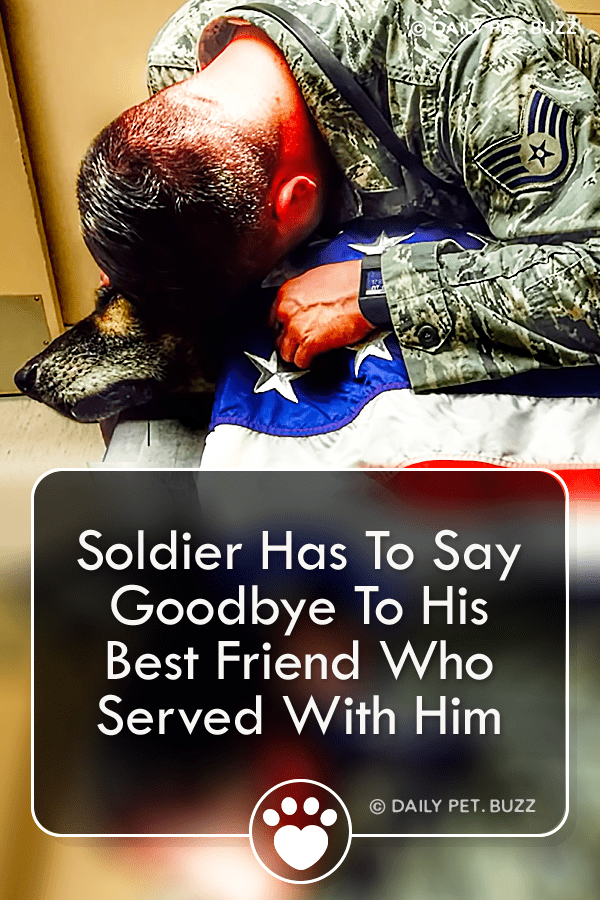 Soldier Has To Say Goodbye To His Best Friend Who Served With Him