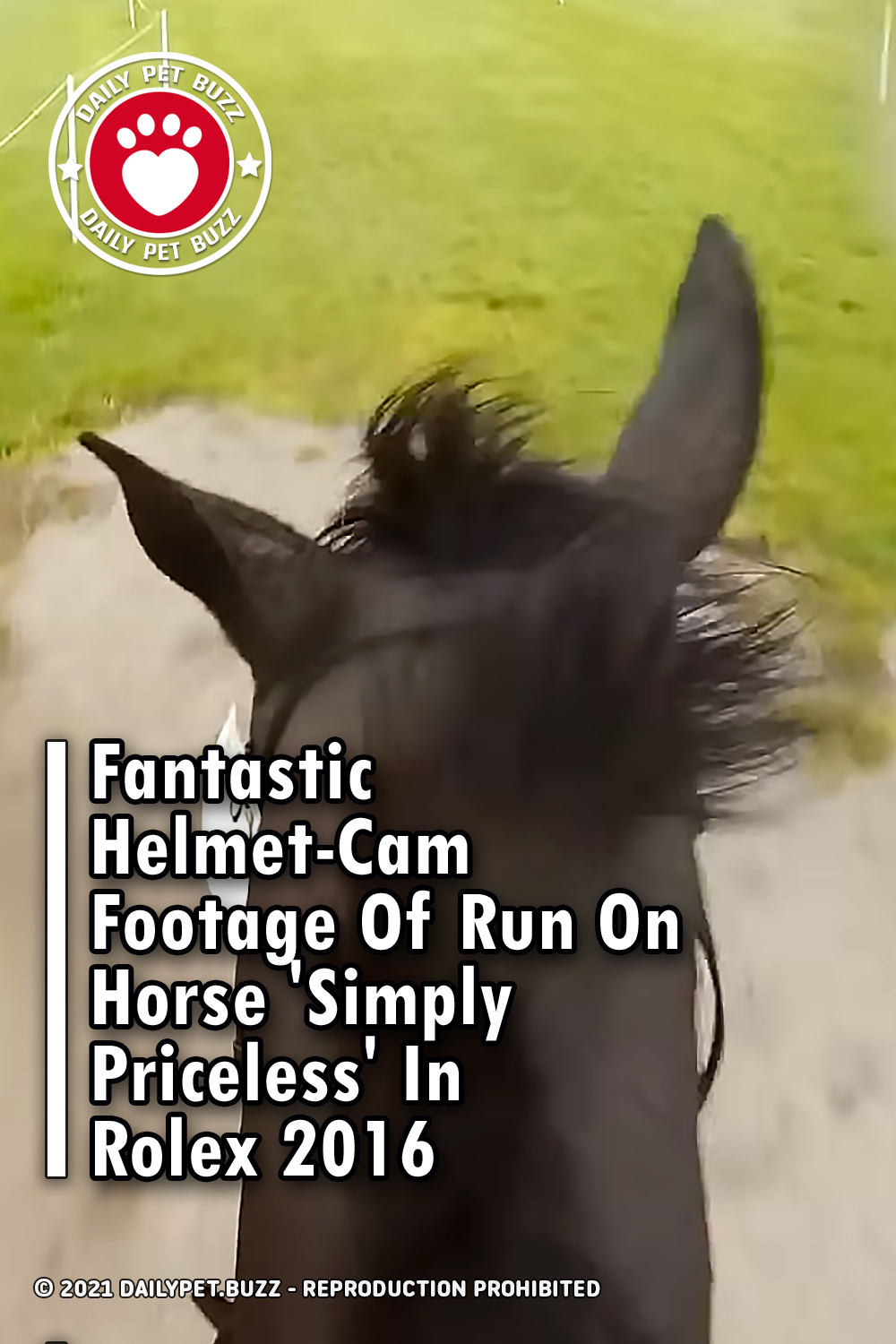 Fantastic Helmet-Cam Footage Of Run On Horse \'Simply Priceless\' In Rolex 2016