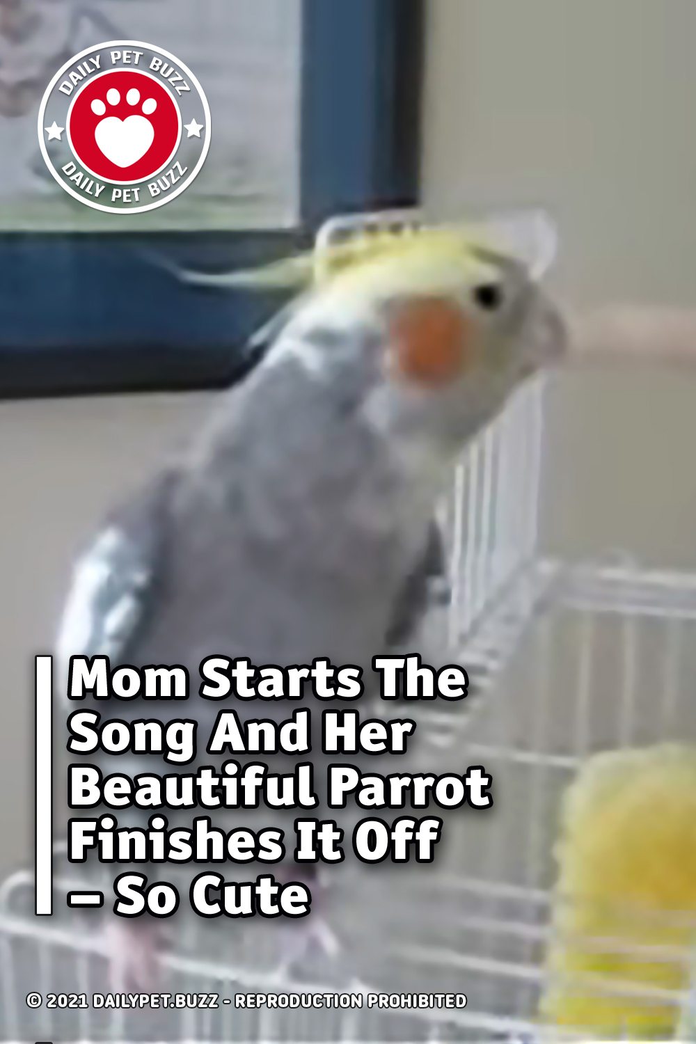 Mom Starts The Song And Her Beautiful Parrot Finishes It Off – So Cute