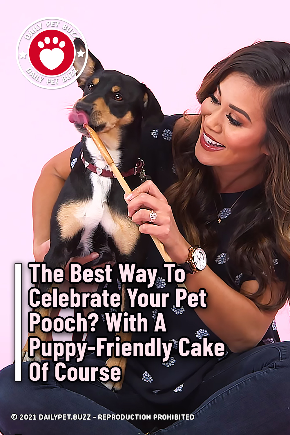 The Best Way To Celebrate Your Pet Pooch? With A Puppy-Friendly Cake Of Course