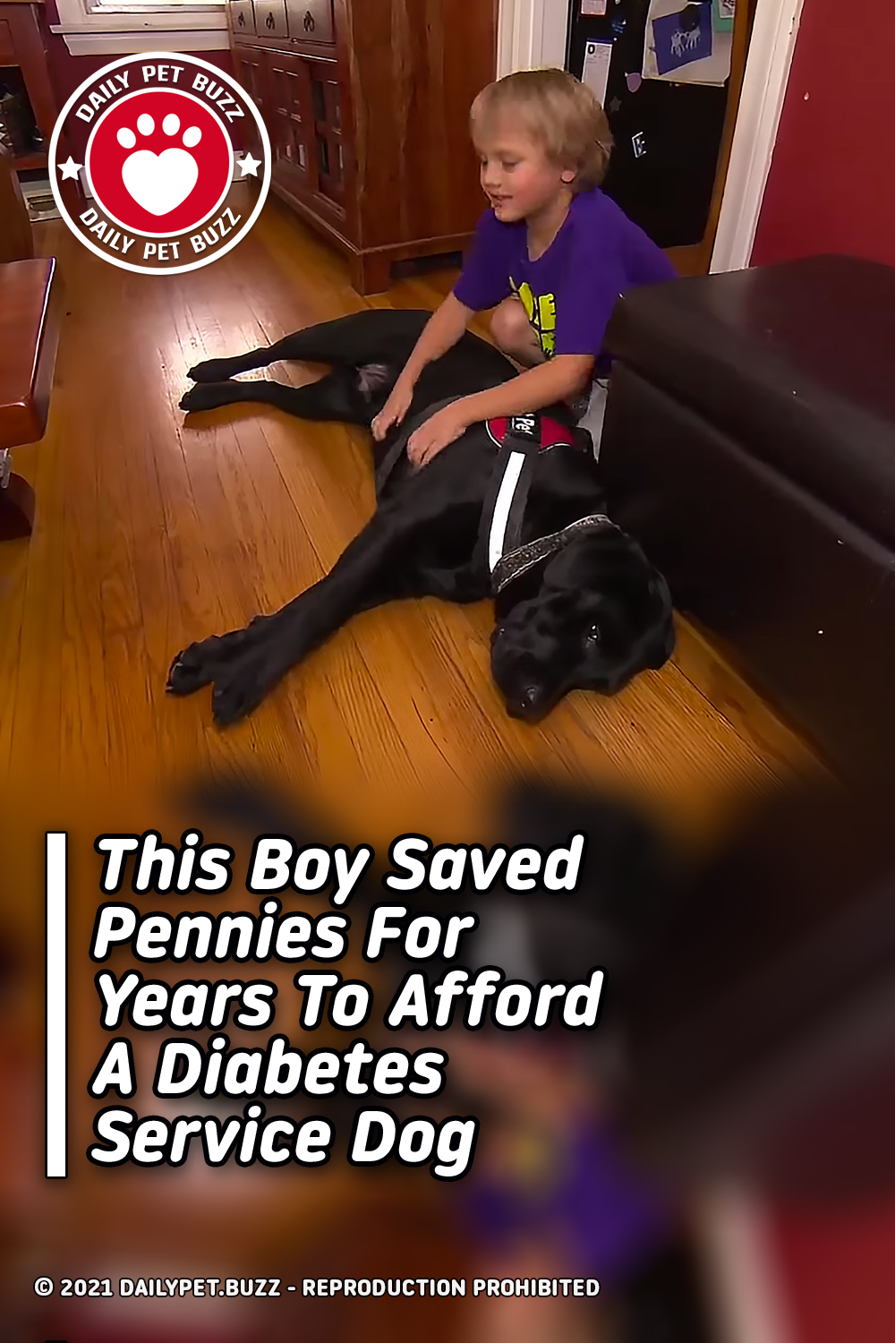 This Boy Saved Pennies For Years To Afford A Diabetes Service Dog