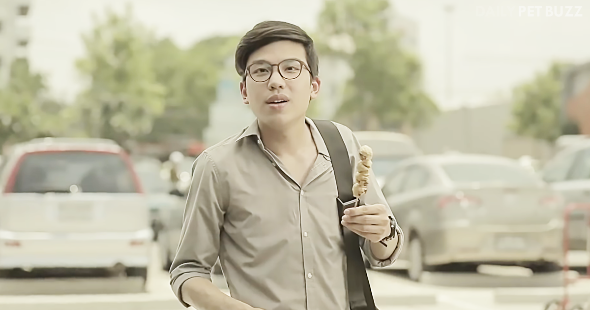 When This Thai Man Is Kind To A Stray Dog, He Had No Idea Where His 'Investment' Would Lead