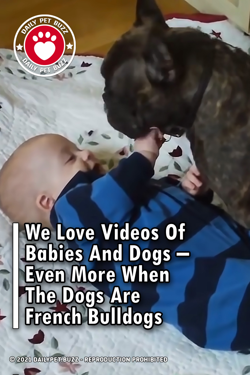 We Love Videos Of Babies And Dogs – Even More When The Dogs Are French Bulldogs