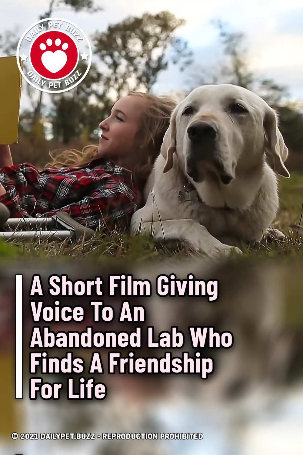 A Short Film Giving Voice To An Abandoned Lab Who Finds A Friendship For Life