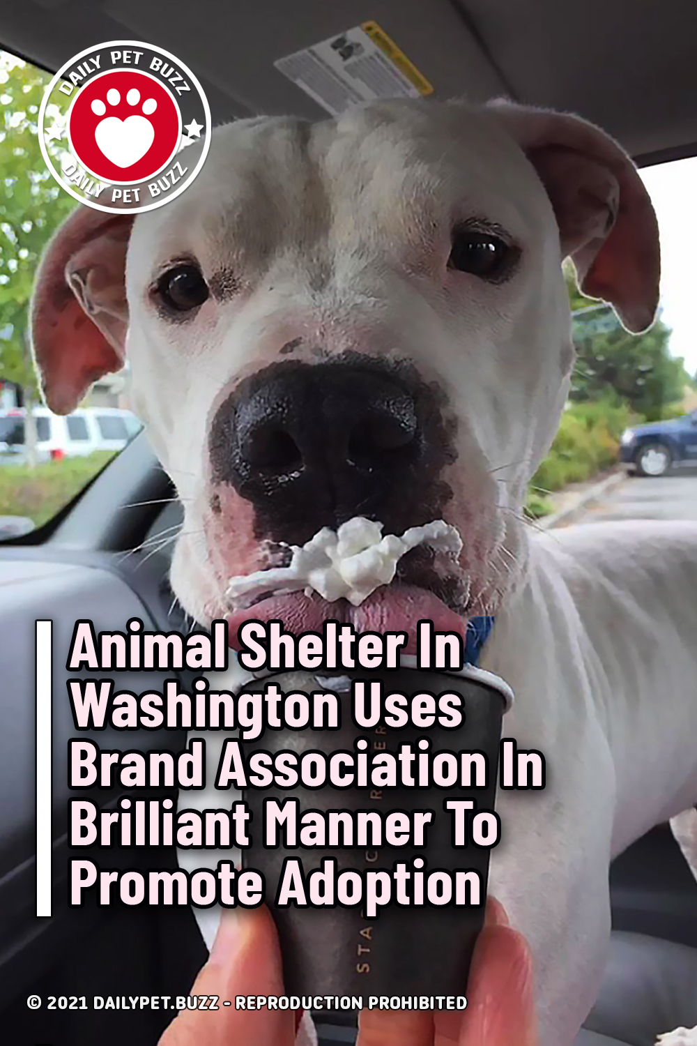 Animal Shelter In Washington Uses Brand Association In Brilliant Manner To Promote Adoption
