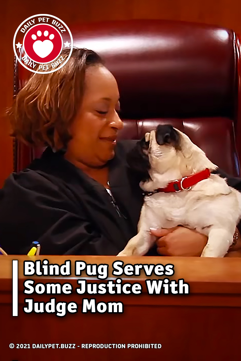 Blind Pug Serves Some Justice With Judge Mom