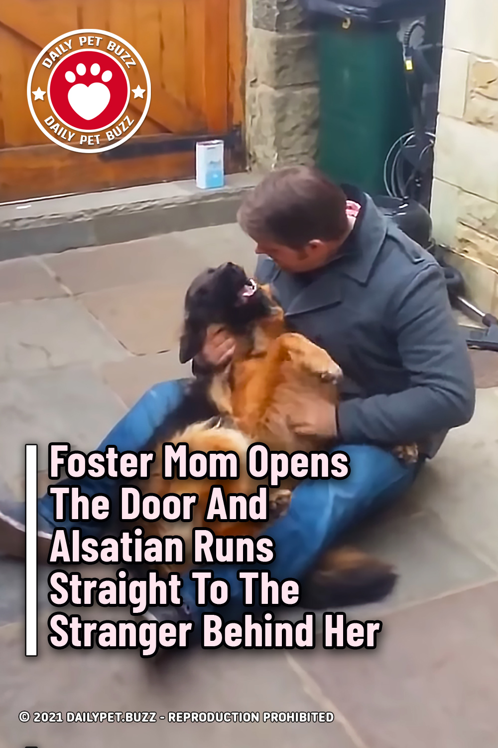 Foster Mom Opens The Door And Alsatian Runs Straight To The Stranger Behind Her