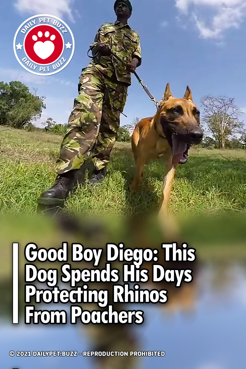 Good Boy Diego: This Dog Spends His Days Protecting Rhinos From Poachers