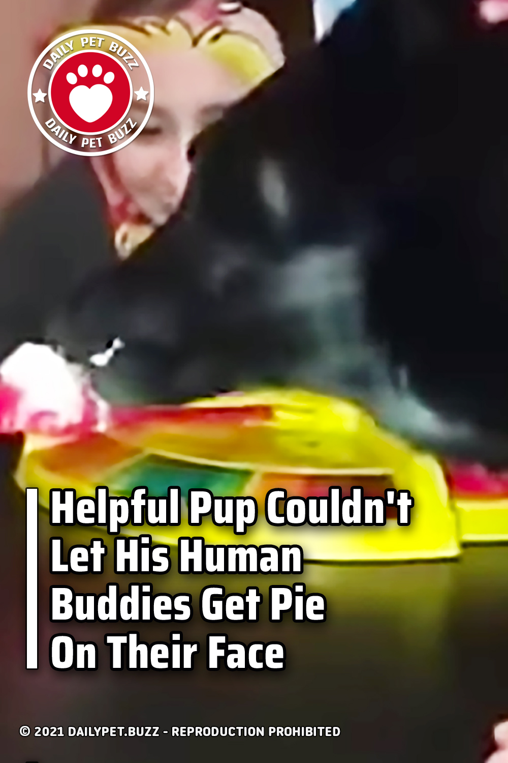 Helpful Pup Couldn\'t Let His Human Buddies Get Pie On Their Face