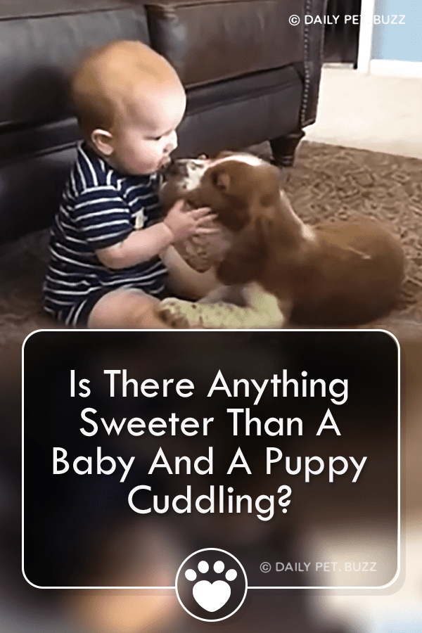 Is There Anything Sweeter Than A Baby And A Puppy Cuddling?