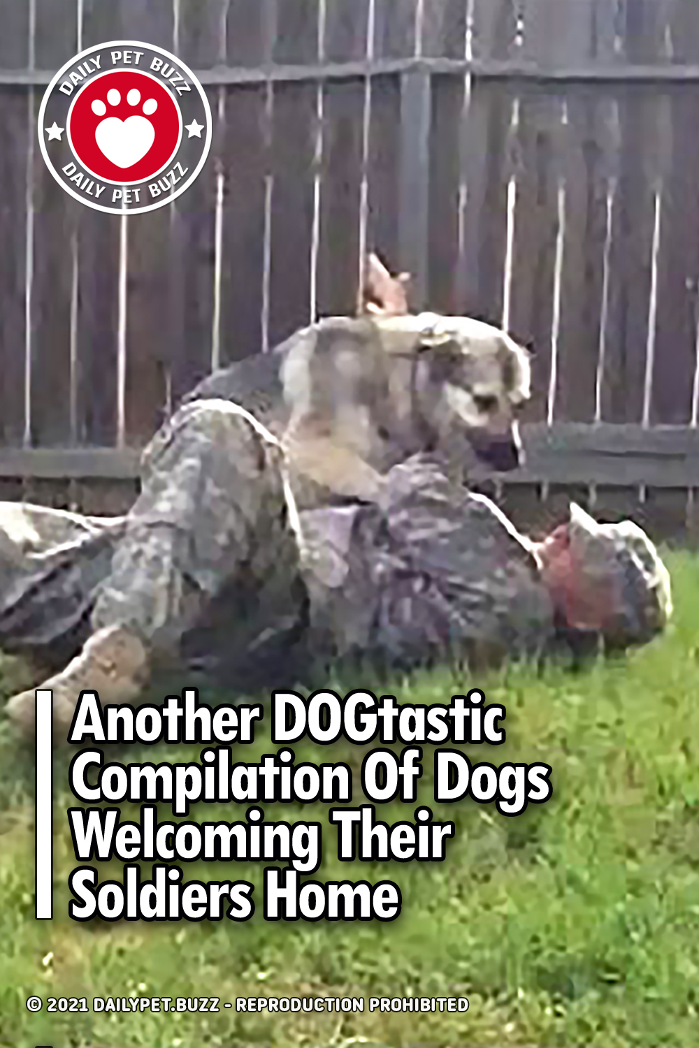 Another DOGtastic Compilation Of Dogs Welcoming Their Soldiers Home
