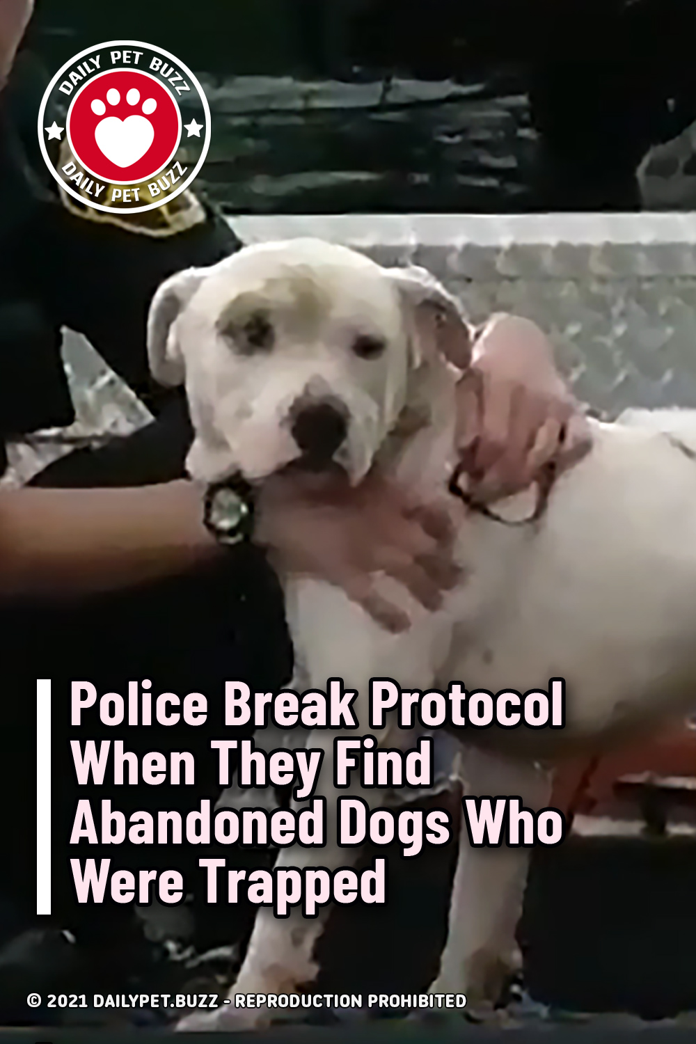 Police Break Protocol When They Find Abandoned Dogs Who Were Trapped