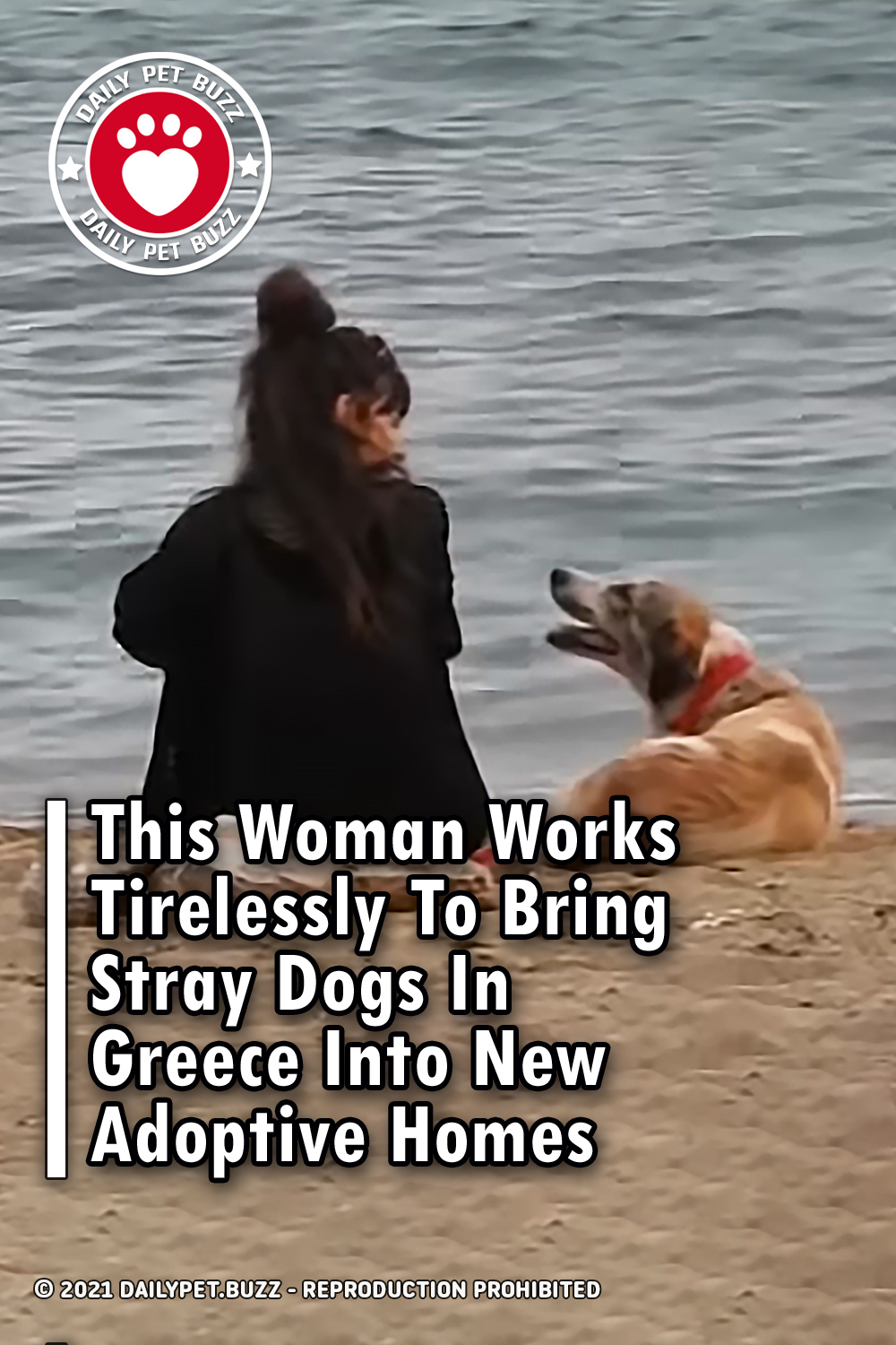 This Woman Works Tirelessly To Bring Stray Dogs In Greece Into New Adoptive Homes