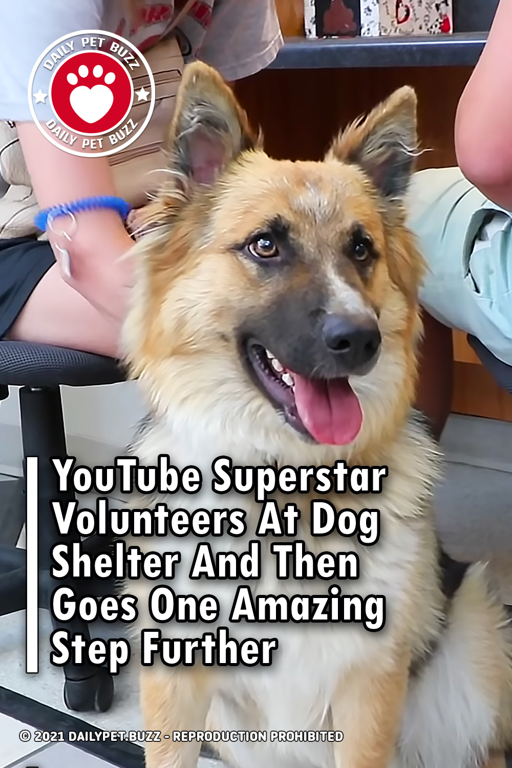 YouTube Superstar Volunteers At Dog Shelter And Then Goes One Amazing Step Further