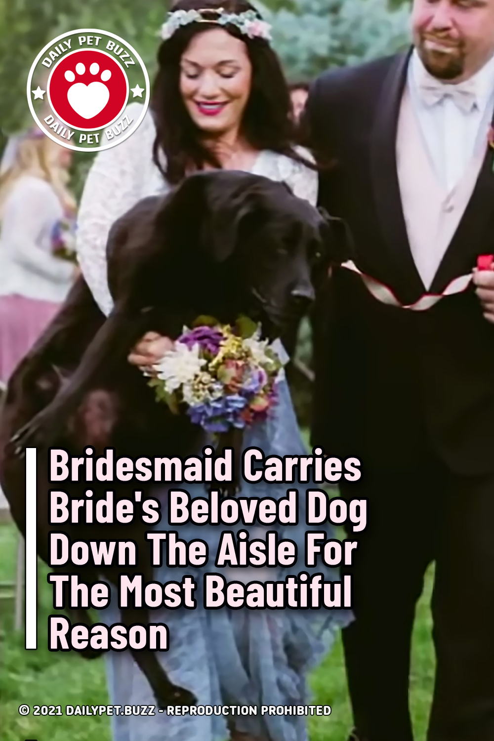 Bridesmaid Carries Bride\'s Beloved Dog Down The Aisle For The Most Beautiful Reason