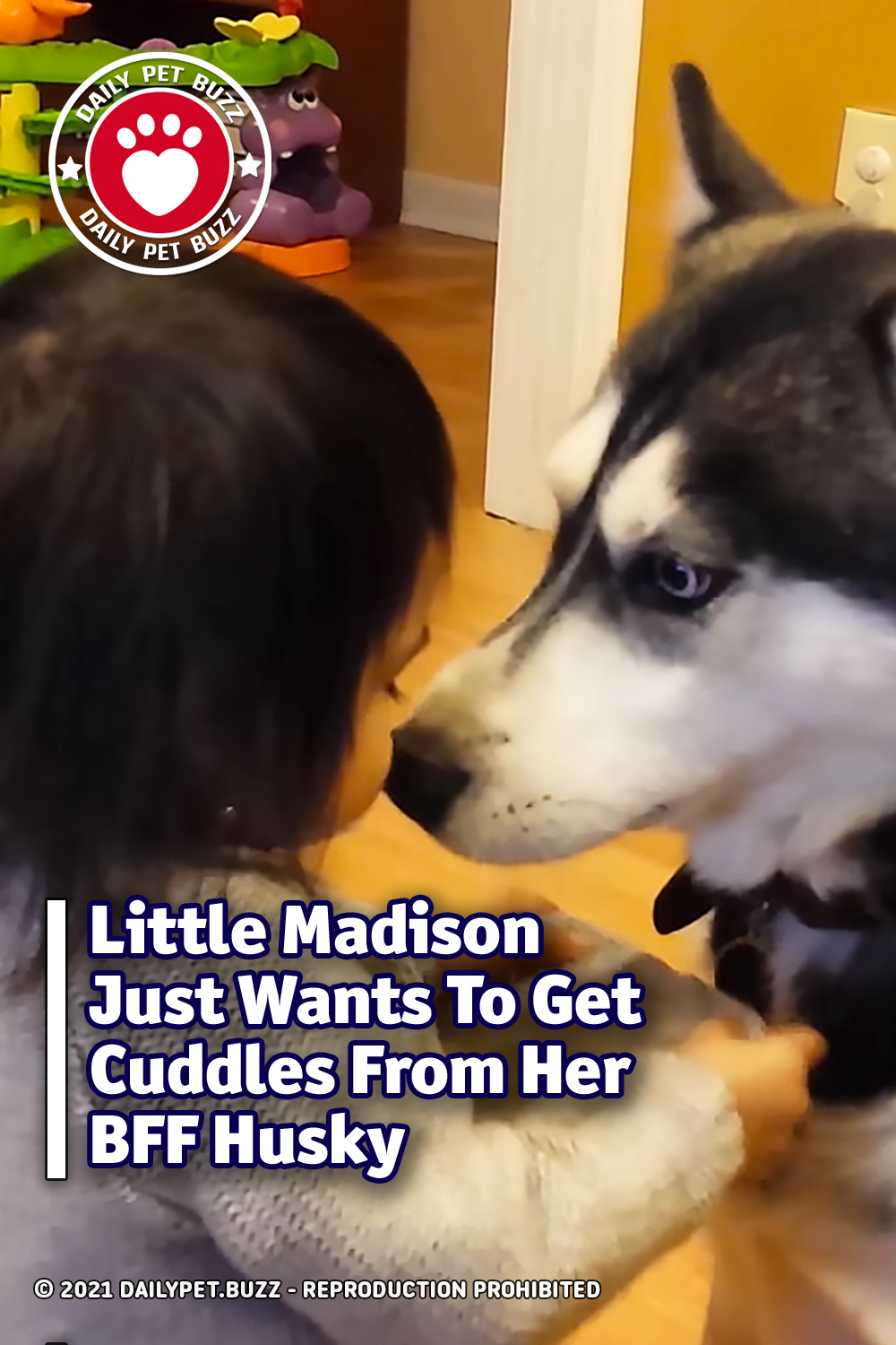 Little Madison Just Wants To Get Cuddles From Her BFF Husky