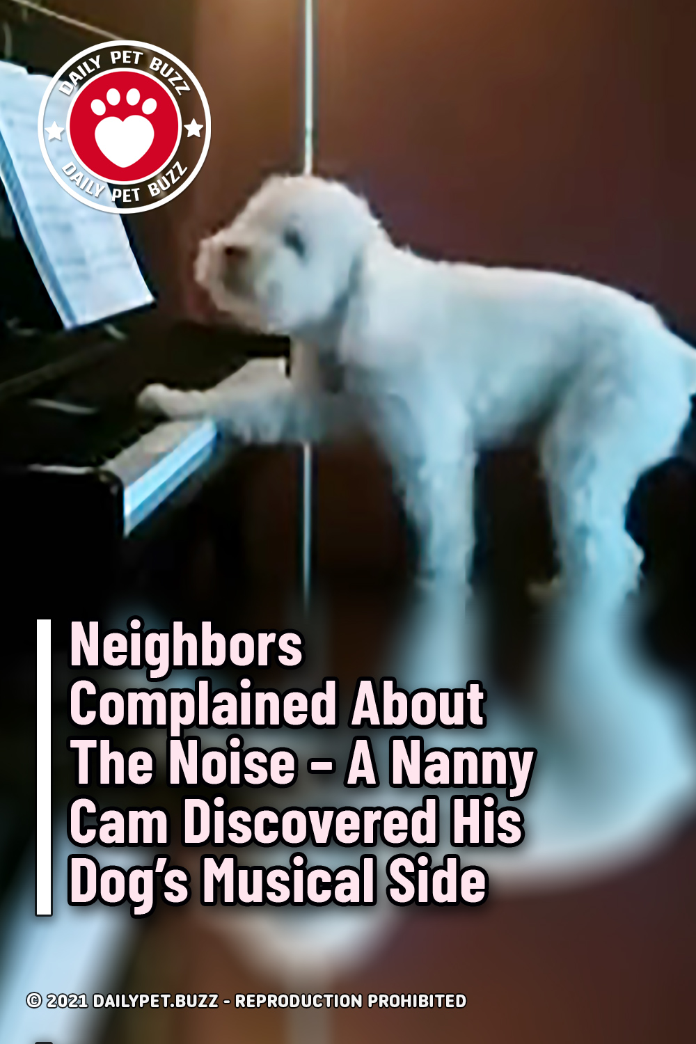 Neighbors Complained About The Noise – A Nanny Cam Discovered His Dog\'s Musical Side