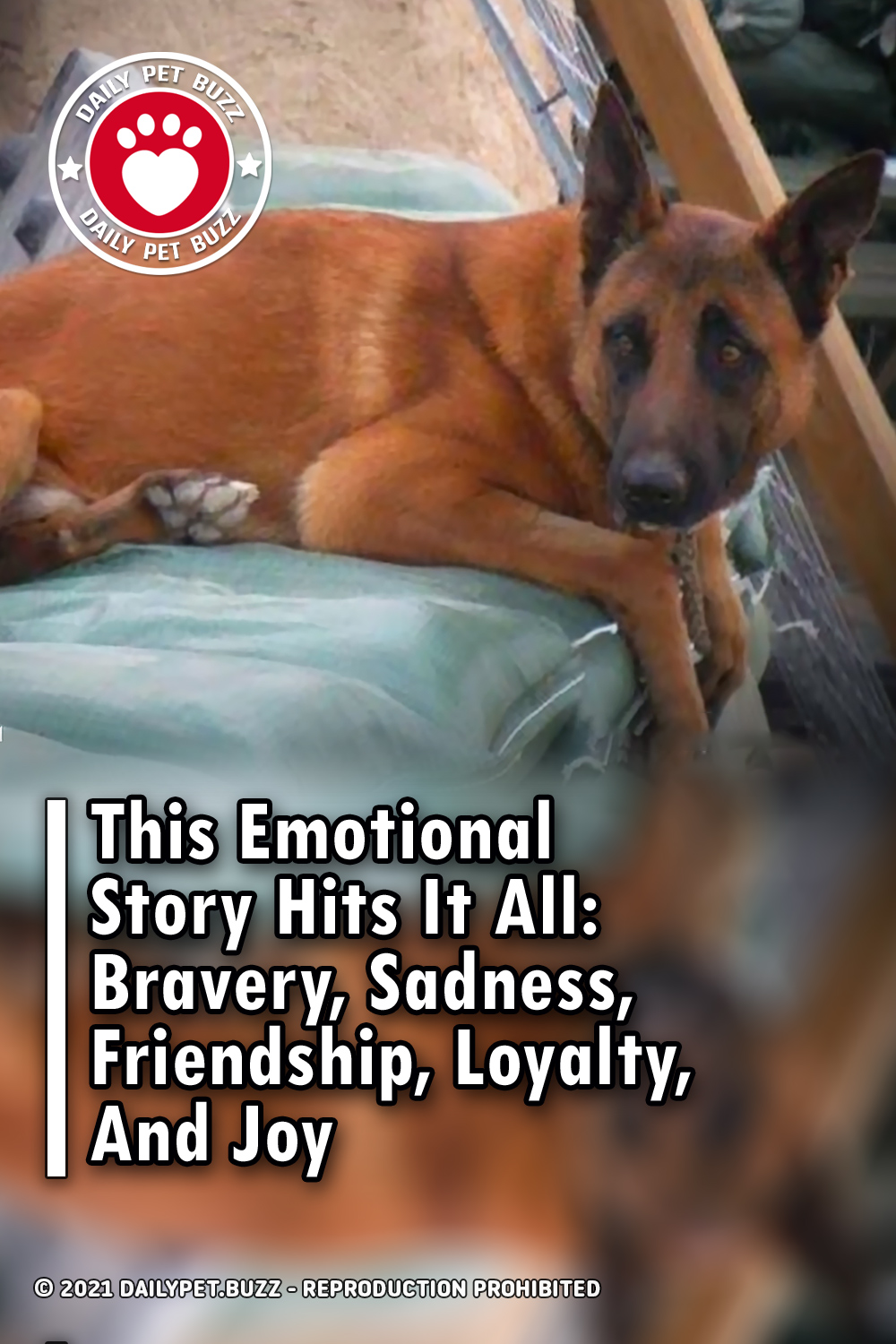 This Emotional Story Hits It All: Bravery, Sadness, Friendship, Loyalty, And Joy