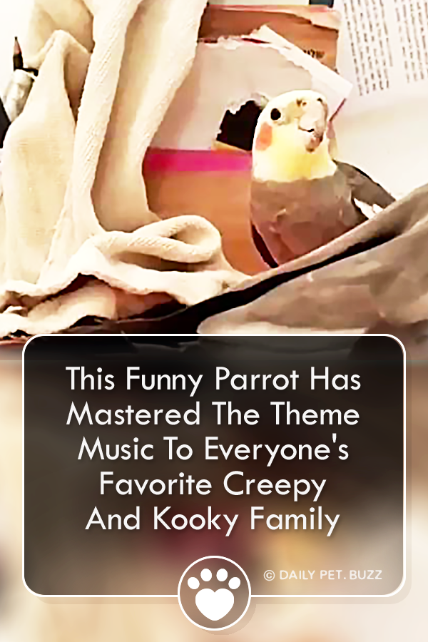 This Funny Parrot Has Mastered The Theme Music To Everyone\'s Favorite Creepy And Kooky Family