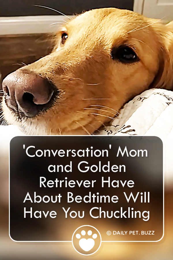 \'Conversation\' Mom and Golden Retriever Have About Bedtime Will Have You Chuckling