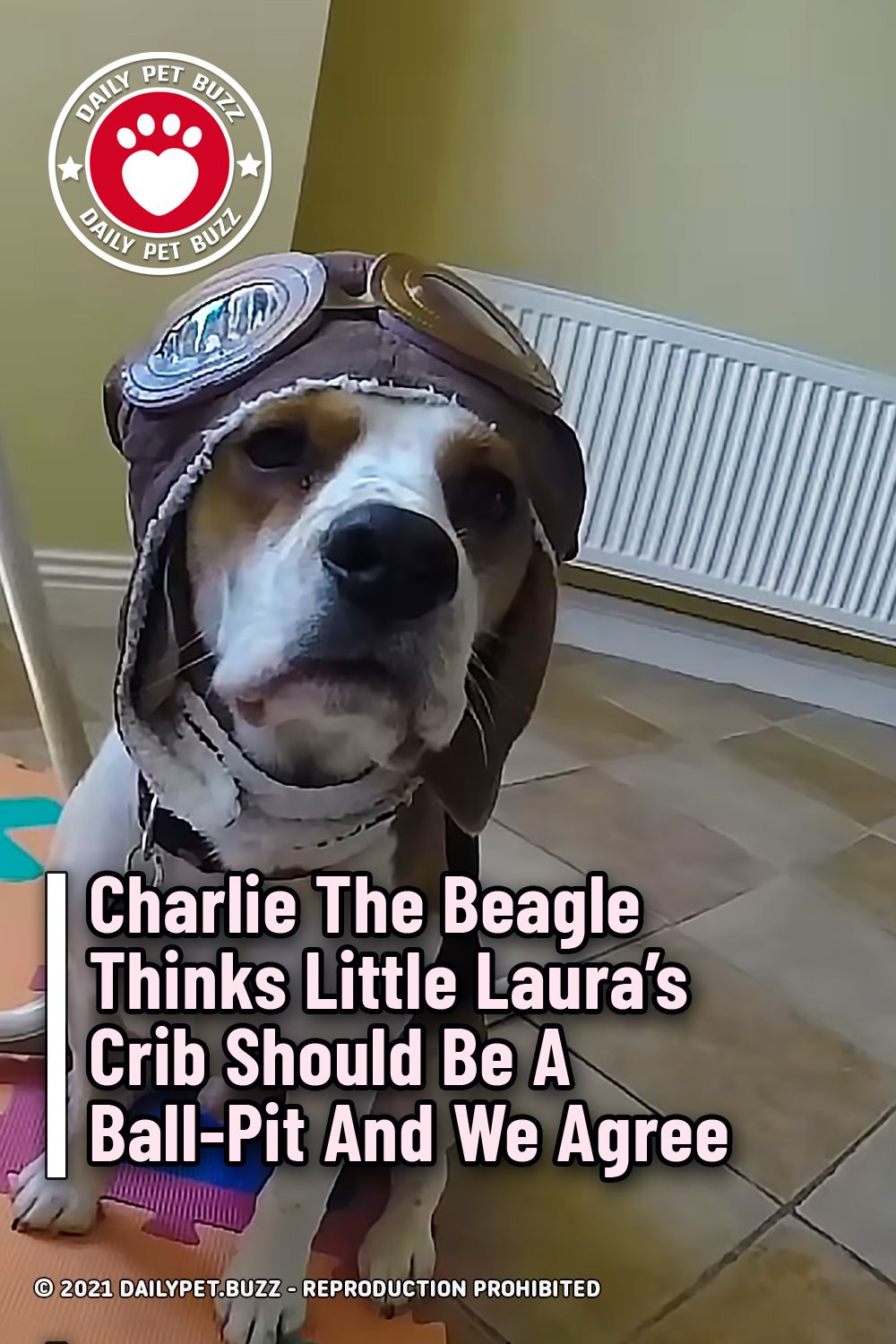 Charlie The Beagle Thinks Little Laura\'s Crib Should Be A Ball-Pit And We Agree