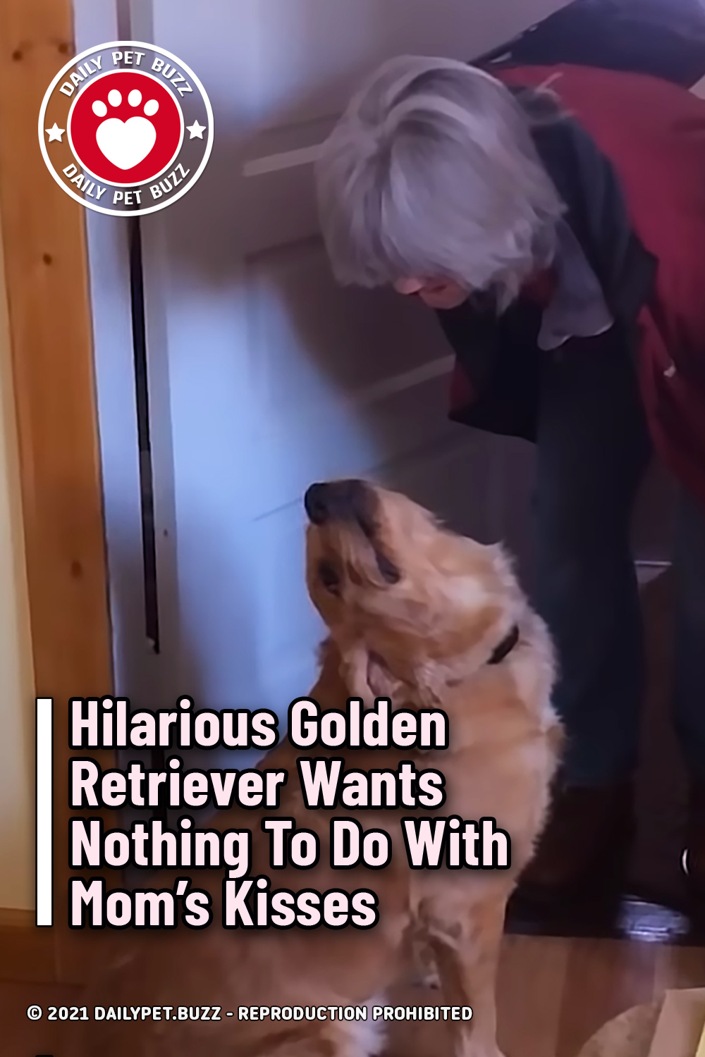 Hilarious Golden Retriever Wants Nothing To Do With Mom\'s Kisses