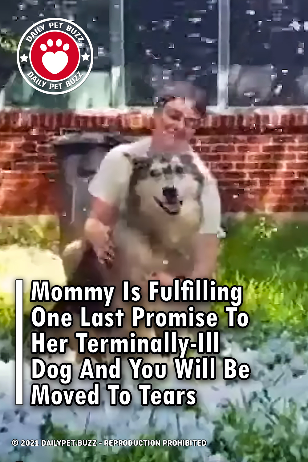 Mommy Is Fulfilling One Last Promise To Her Terminally-Ill Dog And You Will Be Moved To Tears