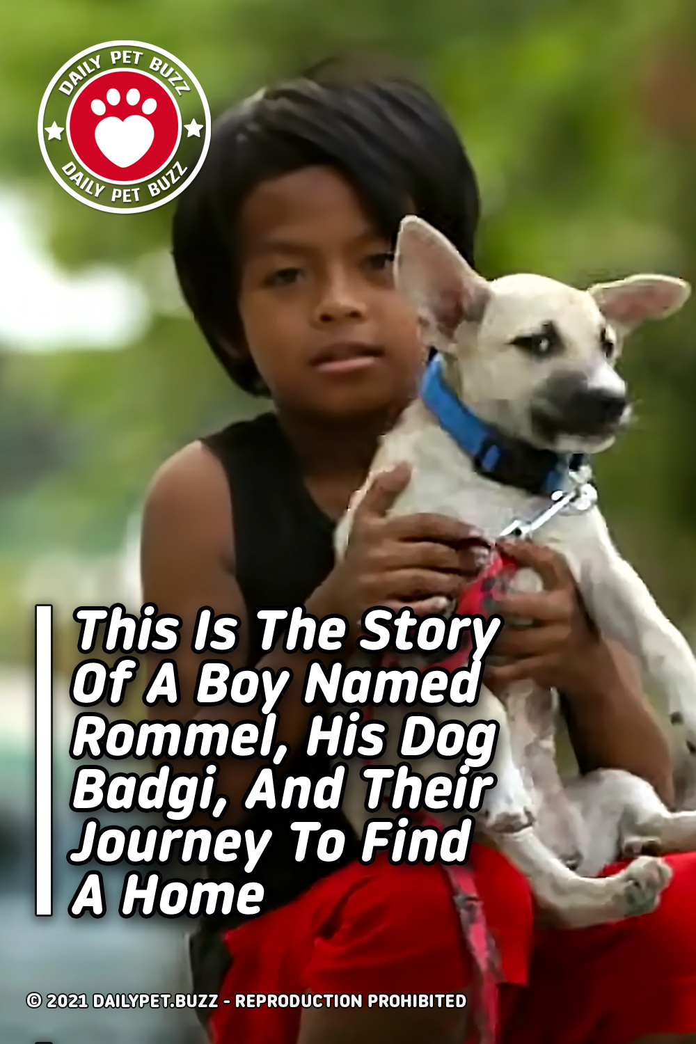 This Is The Story Of A Boy Named Rommel, His Dog Badgi, And Their Journey To Find A Home