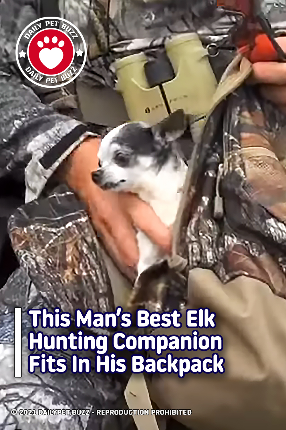 This Man\'s Best Elk Hunting Companion Fits In His Backpack