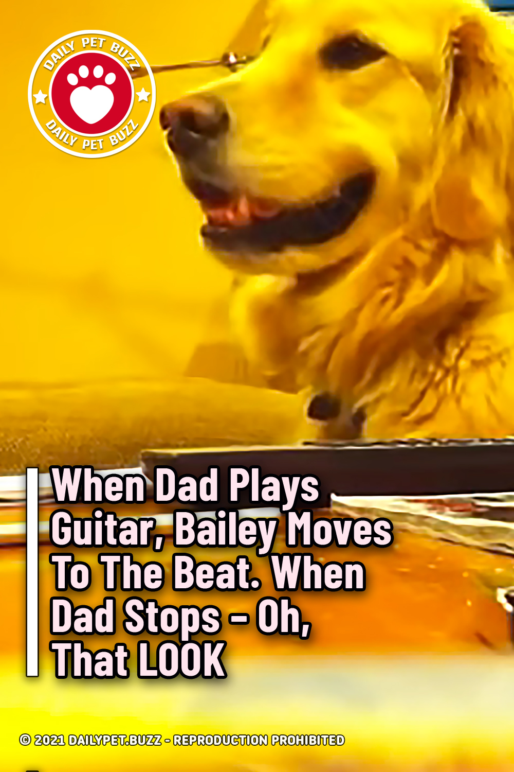 When Dad Plays Guitar, Bailey Moves To The Beat. When Dad Stops – Oh, That LOOK