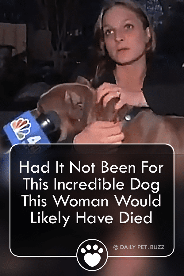 Had It Not Been For This Incredible Dog This Woman Would Likely Have Died