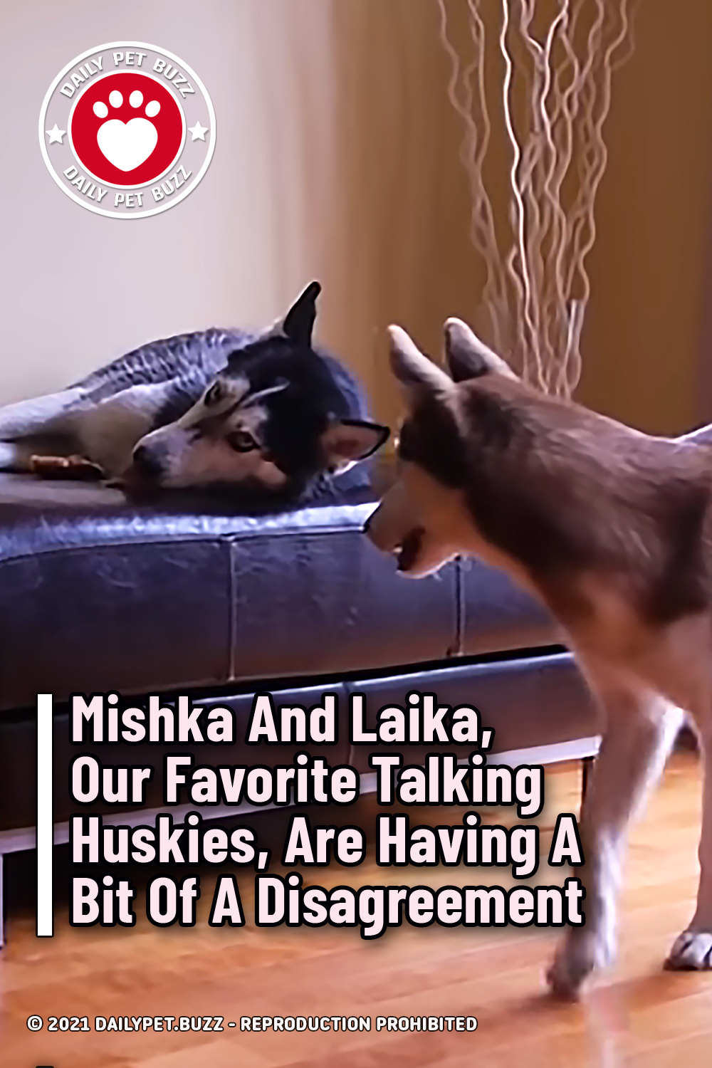 Mishka And Laika, Our Favorite Talking Huskies, Are Having A Bit Of A Disagreement