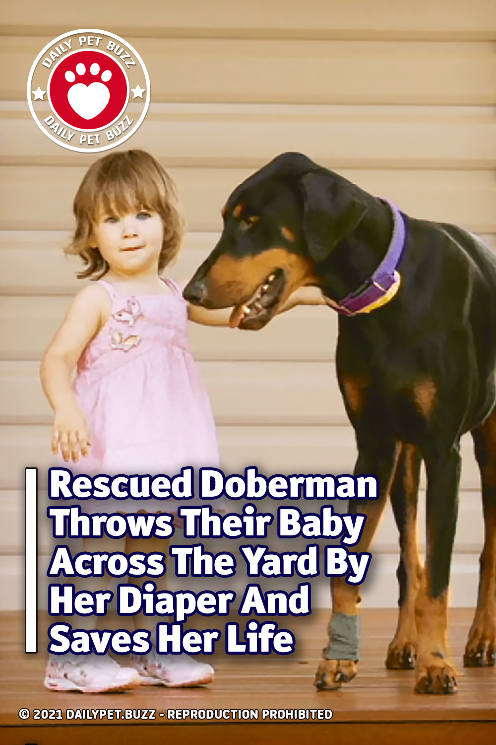 Rescued Doberman Throws Their Baby Across The Yard By Her Diaper And Saves Her Life