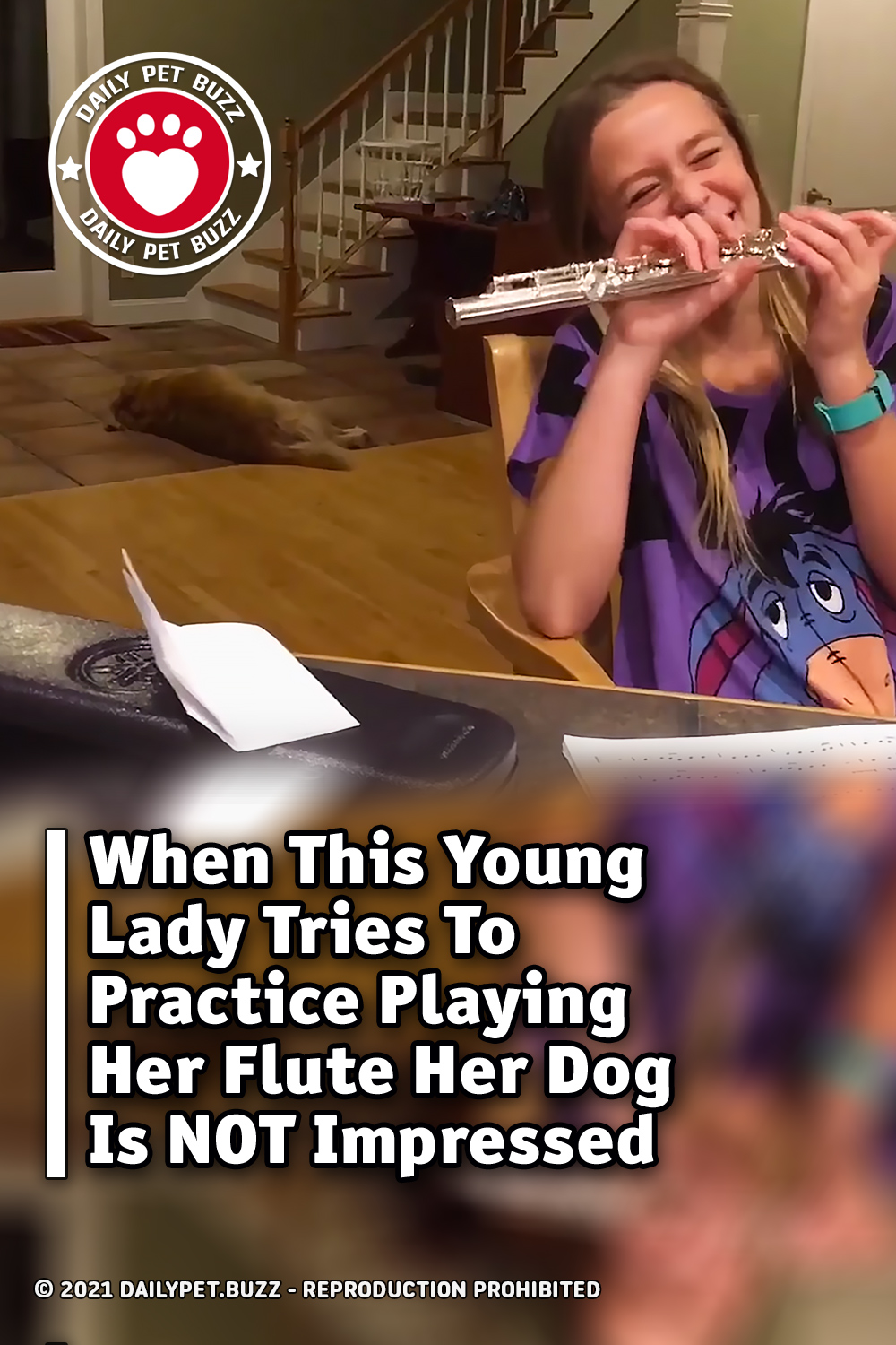 When This Young Lady Tries To Practice Playing Her Flute Her Dog Is NOT Impressed