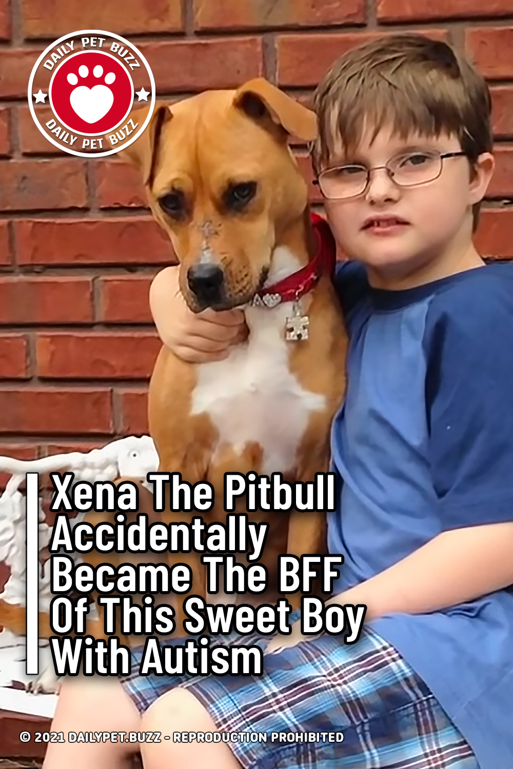Xena The Pitbull Accidentally Became The BFF Of This Sweet Boy With Autism