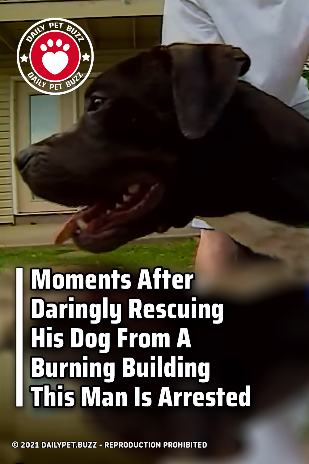 Moments After Daringly Rescuing His Dog From A Burning Building This Man Is Arrested