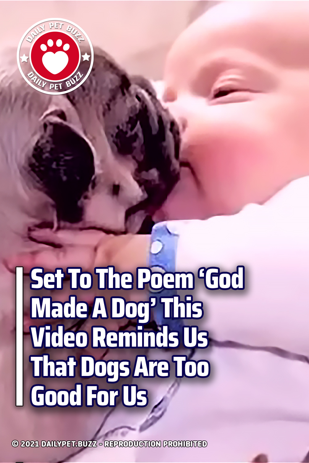Set To The Poem \'God Made A Dog\' This Video Reminds Us That Dogs Are Too Good For Us