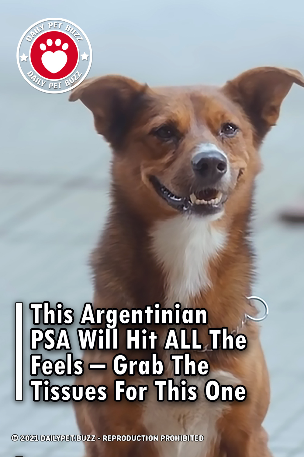 This Argentinian PSA Will Hit ALL The Feels – Grab The Tissues For This One
