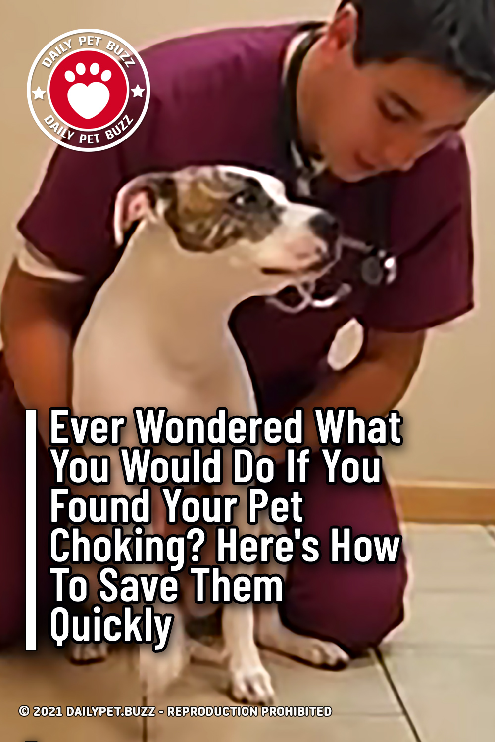 Ever Wondered What You Would Do If You Found Your Pet Choking? Here\'s How To Save Them Quickly