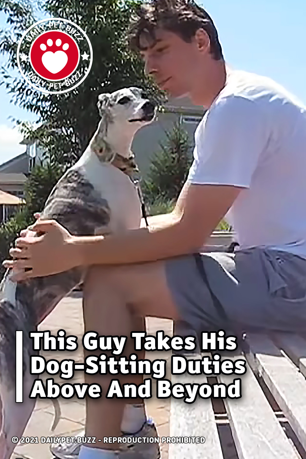This Guy Takes His Dog-Sitting Duties Above And Beyond