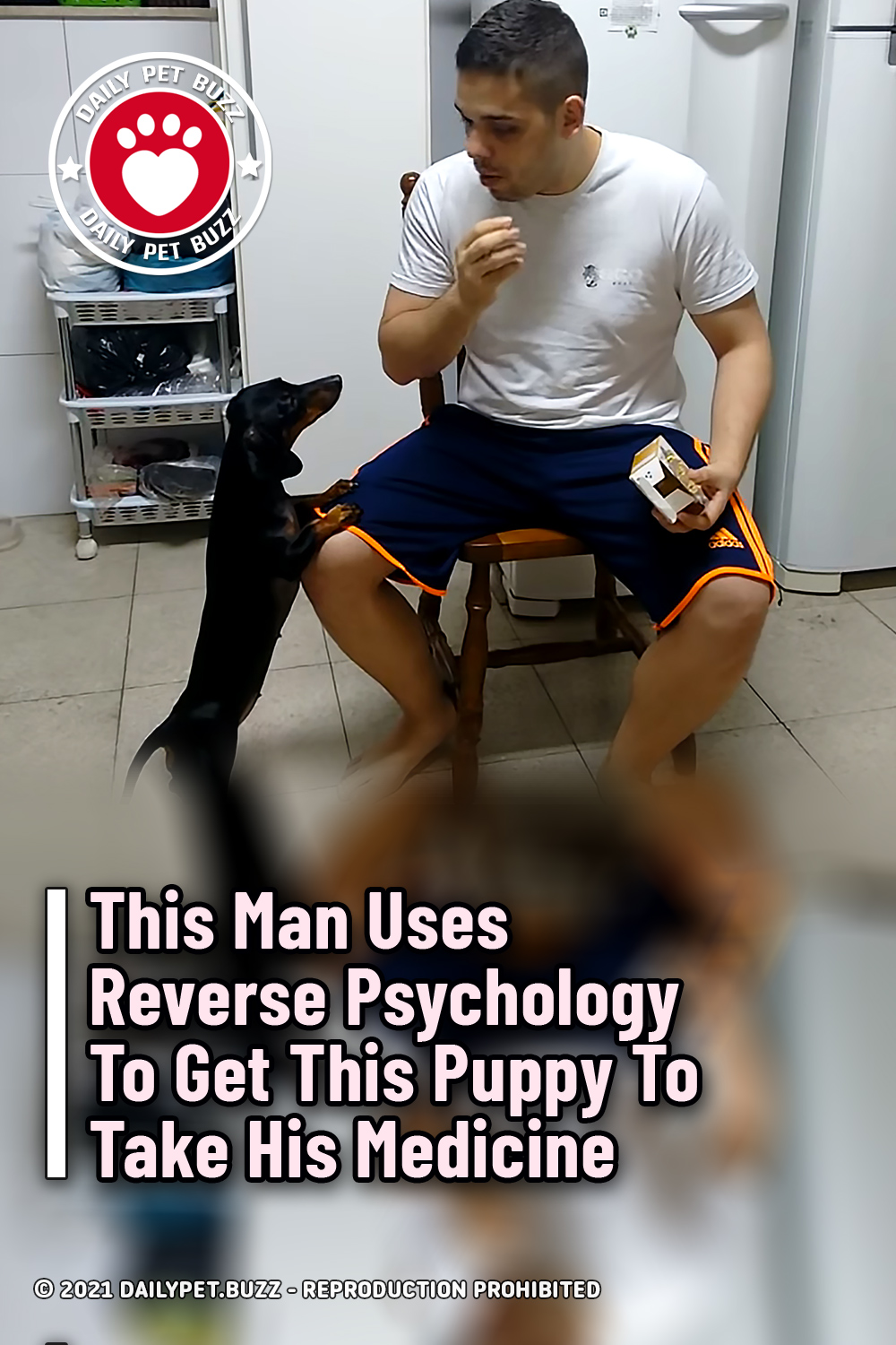 This Man Uses Reverse Psychology To Get This Puppy To Take His Medicine